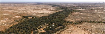 Wonaminta Station - NSW (PBH4 00 9164)